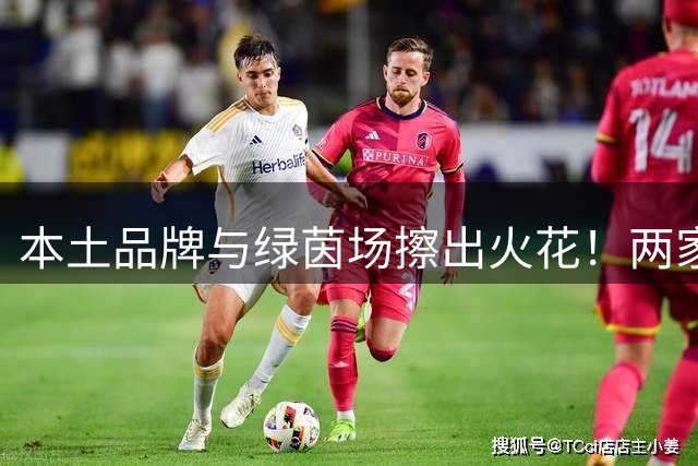 本土品牌与绿茵场擦出火花！两家高新区企业助力江苏足球超级联赛