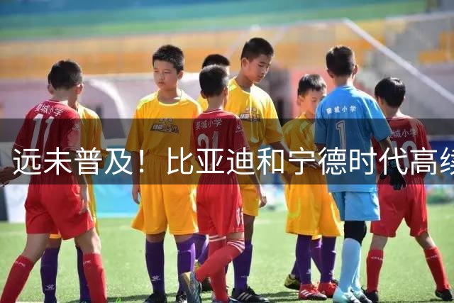 远未普及！比亚迪和宁德时代高续航电池技术现状解析